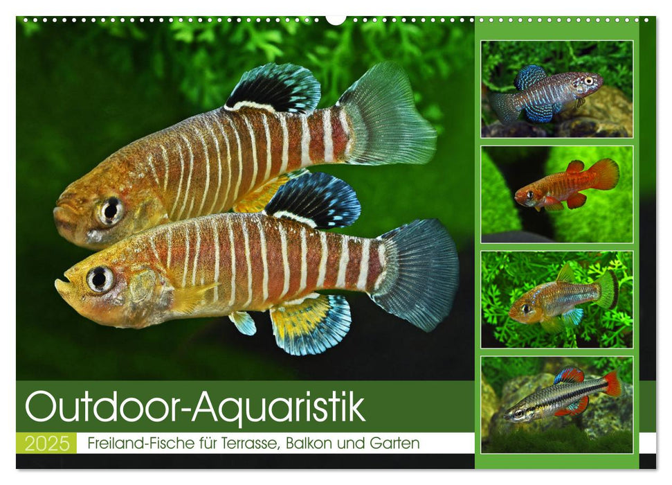 Outdoor-Aquaristik (CALVENDO Wandkalender 2025)