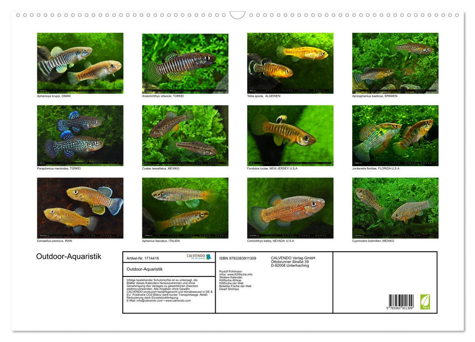 Outdoor-Aquaristik (CALVENDO Wandkalender 2025)