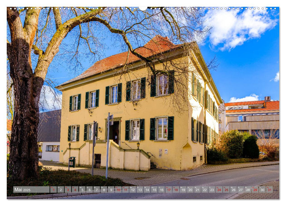 Ein Blick auf die Wallfahrtsstadt Werl (CALVENDO Wandkalender 2025)