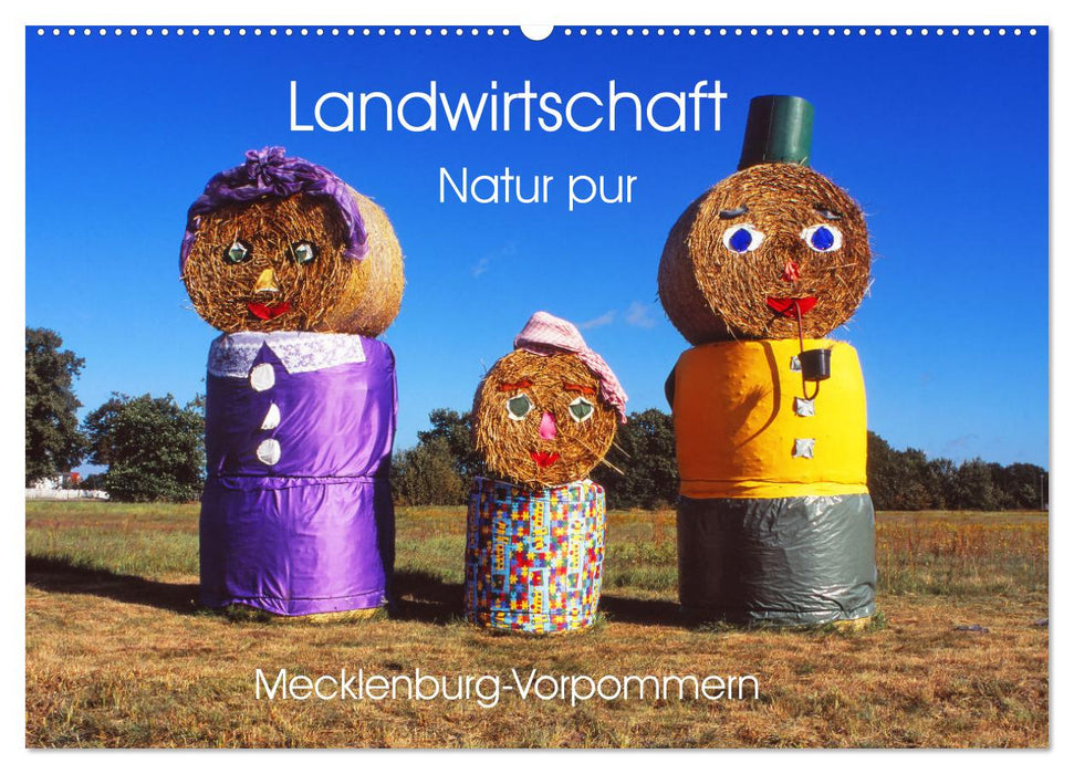 Landwirtschaft Natur pur Mecklenburg-Vorpommern (CALVENDO Wandkalender 2025)