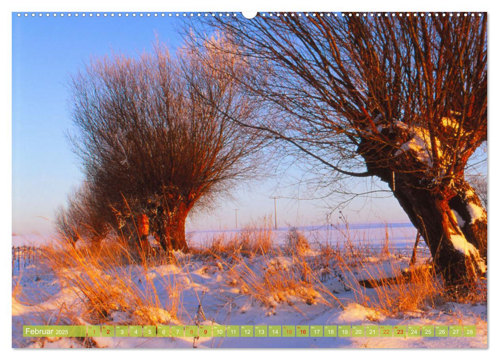 Landwirtschaft Natur pur Mecklenburg-Vorpommern (CALVENDO Wandkalender 2025)