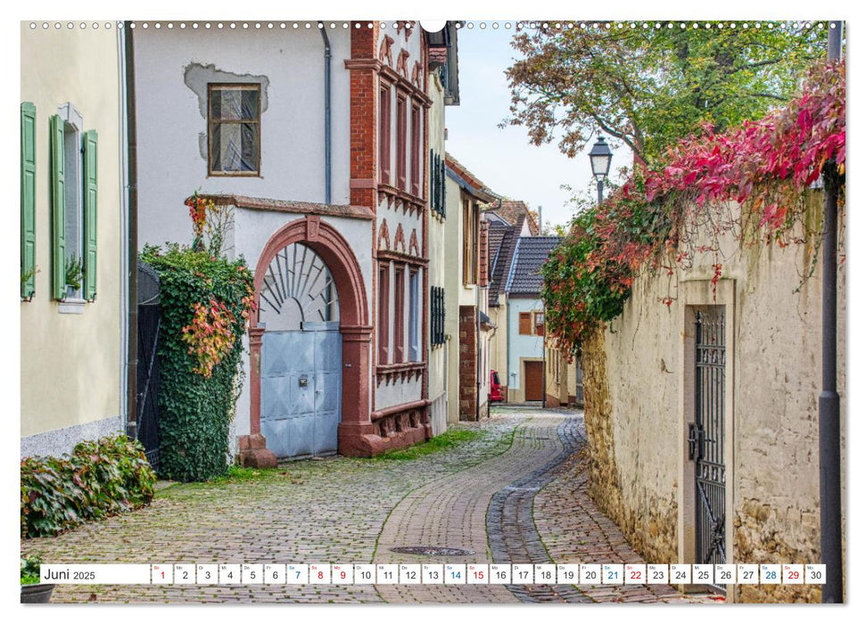 Freinsheim - Mittelalter an der südlichen Weinstraße (CALVENDO Wandkalender 2025)