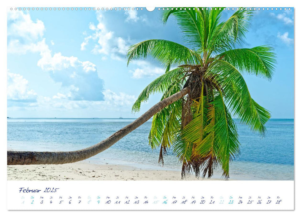 Sagenhafte Seychellen - Idylle im Indischen Ozean (CALVENDO Wandkalender 2025)