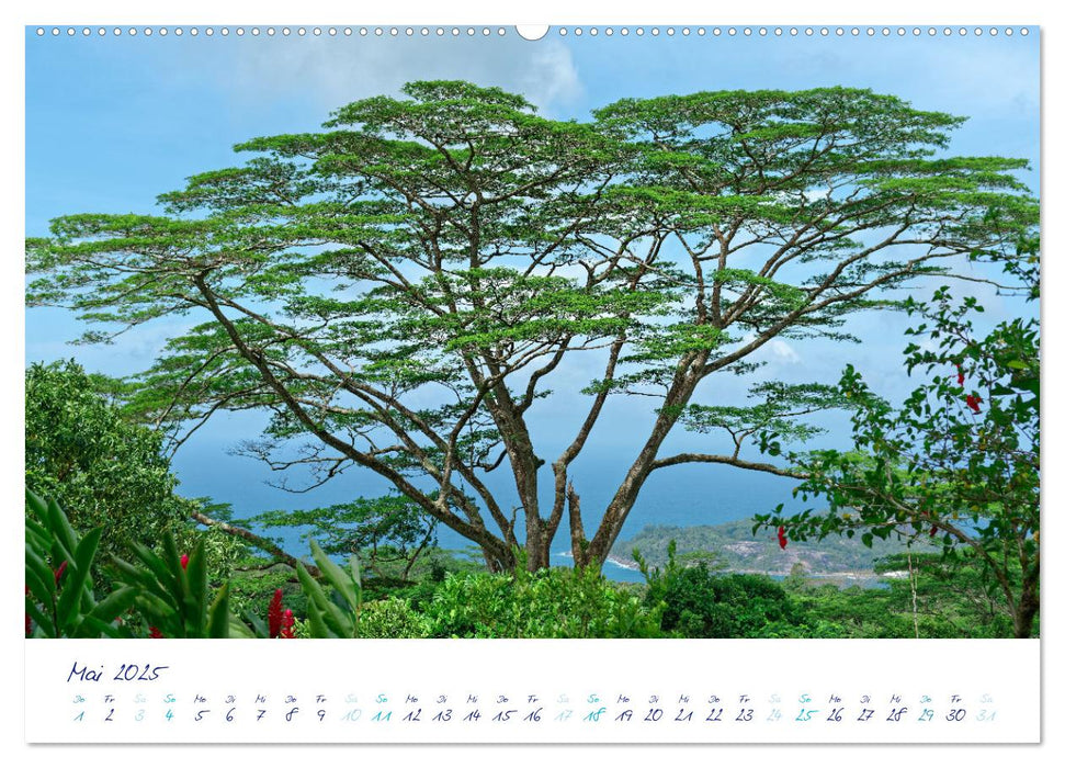 Sagenhafte Seychellen - Idylle im Indischen Ozean (CALVENDO Wandkalender 2025)