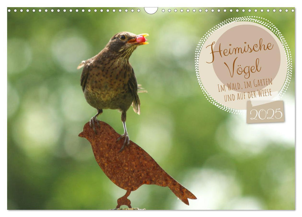 Heimische Vögel - Im Wald, im Garten und auf der Wiese (CALVENDO Wandkalender 2025)