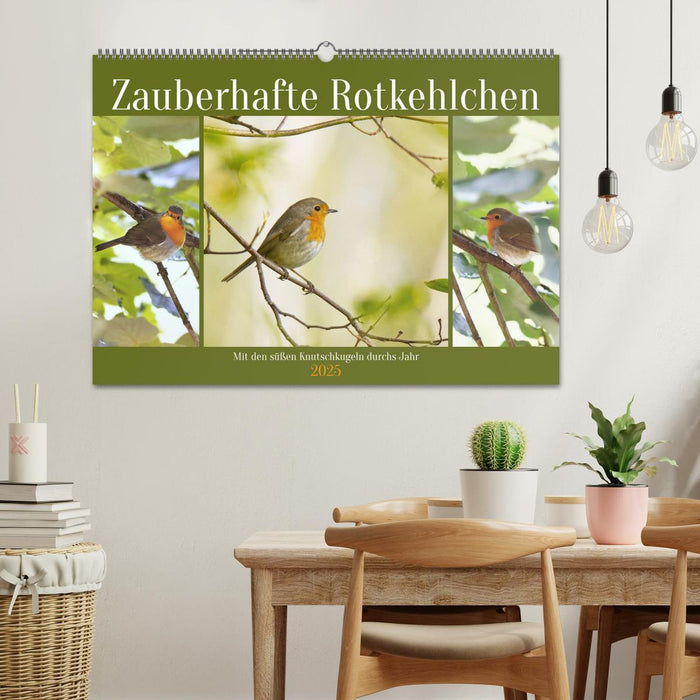 Zauberhafte Rotkehlchen (CALVENDO Wandkalender 2025)