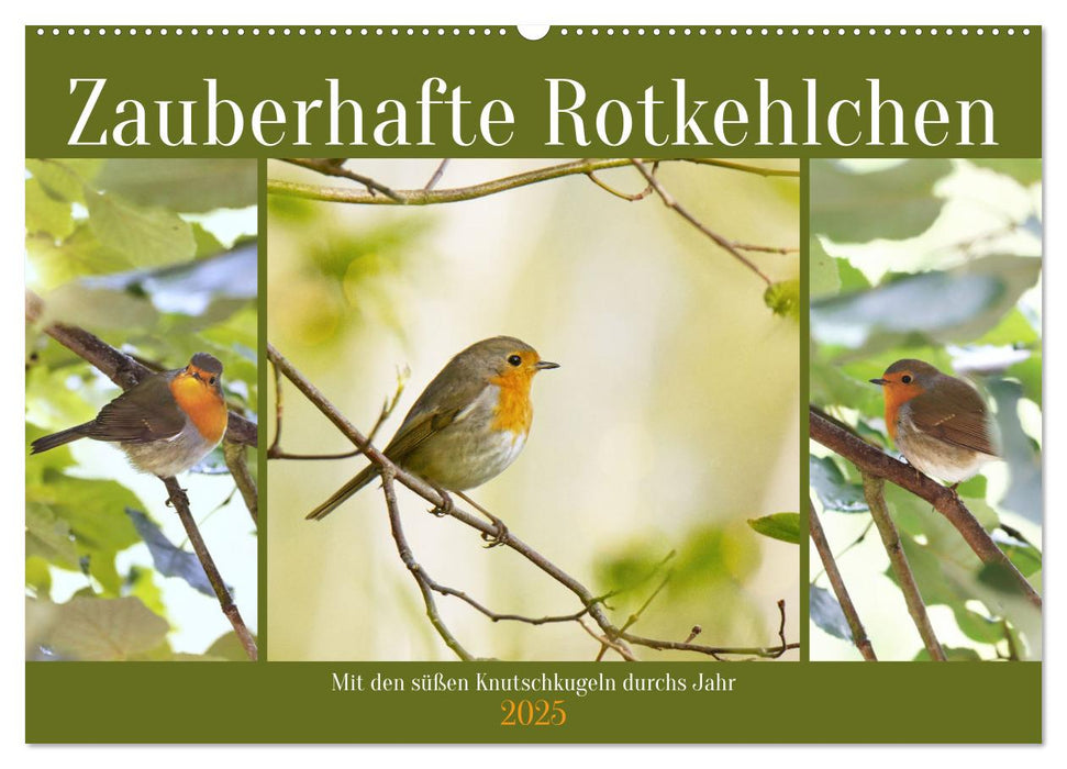 Zauberhafte Rotkehlchen (CALVENDO Wandkalender 2025)