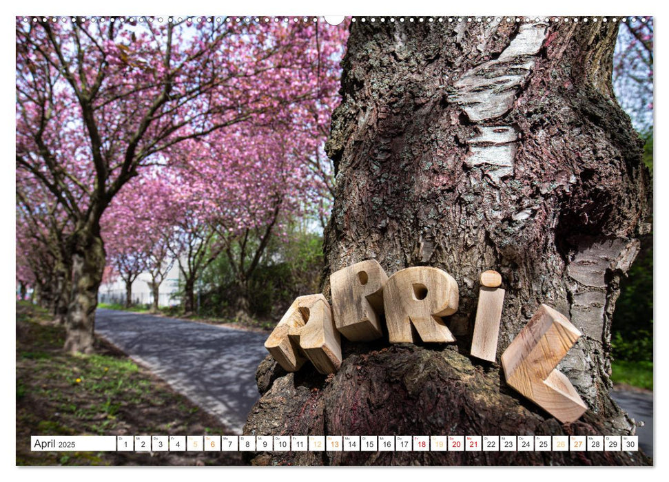 Holz, ein fantastischer Rohstoff. (CALVENDO Wandkalender 2025)