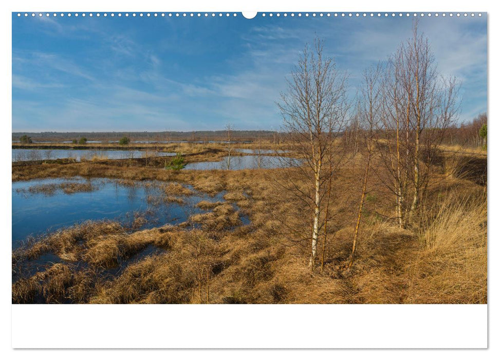 Spaziergang im Himmelmoor (CALVENDO Premium Wandkalender 2025)