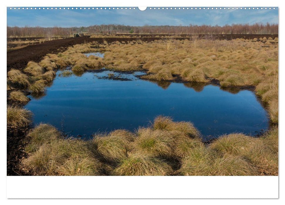 Spaziergang im Himmelmoor (CALVENDO Premium Wandkalender 2025)