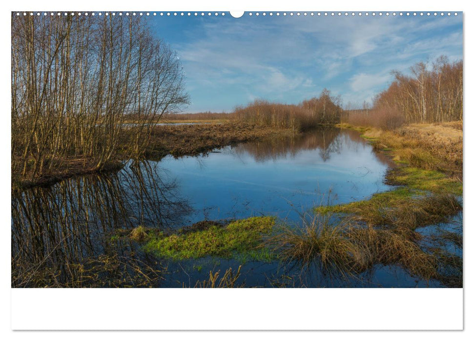 Spaziergang im Himmelmoor (CALVENDO Premium Wandkalender 2025)