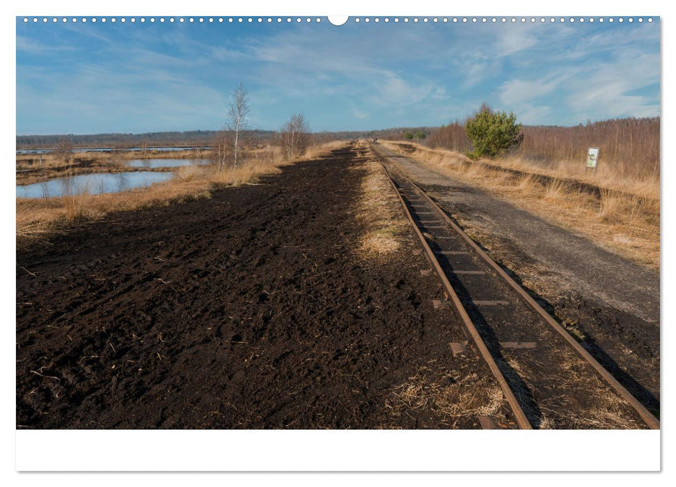 Spaziergang im Himmelmoor (CALVENDO Premium Wandkalender 2025)