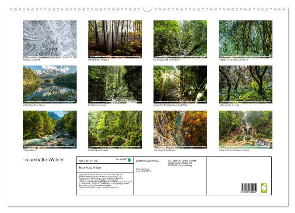 Traumhafte Wälder (CALVENDO Wandkalender 2025)