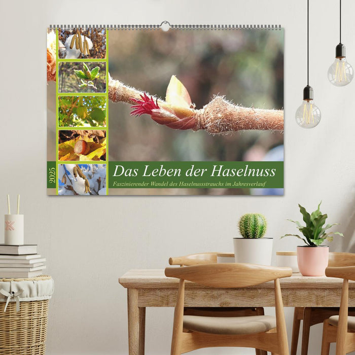 Das Leben der Haselnuss (CALVENDO Wandkalender 2025)