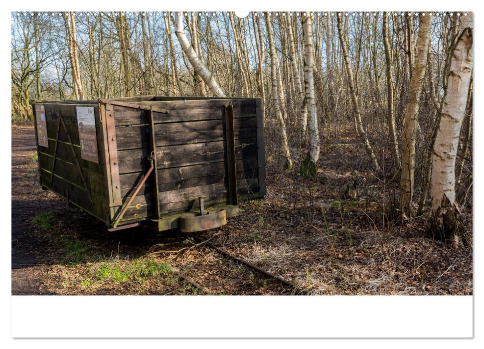 Spaziergang im Himmelmoor (CALVENDO Wandkalender 2025)