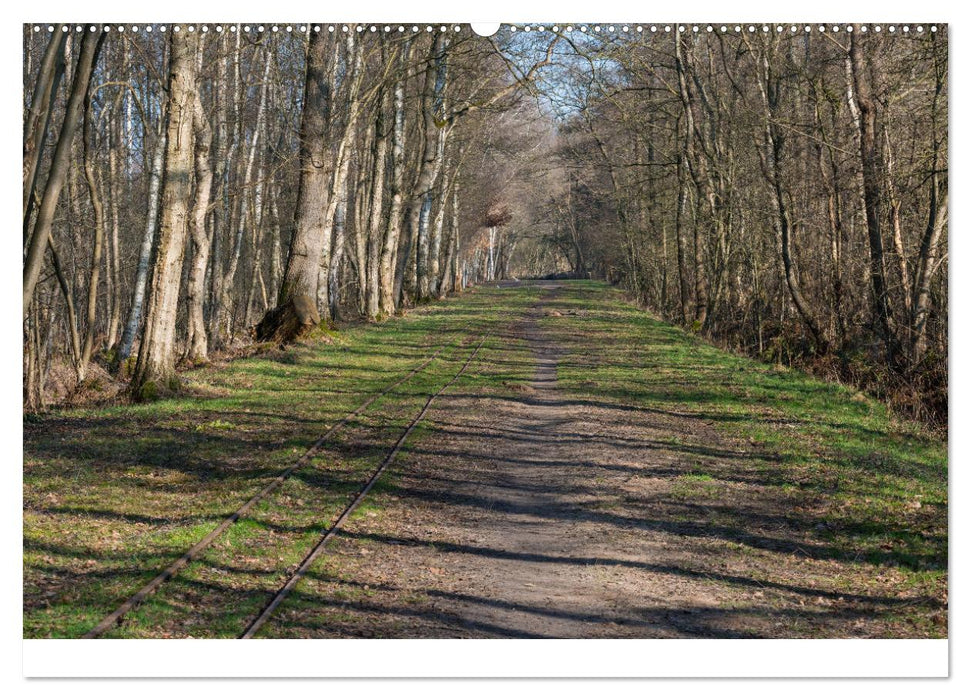 Spaziergang im Himmelmoor (CALVENDO Wandkalender 2025)