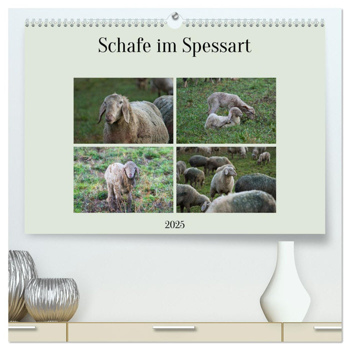 Schafe im Spessart (CALVENDO Premium Wandkalender 2025)