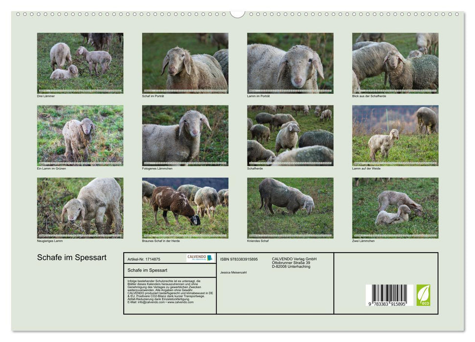 Schafe im Spessart (CALVENDO Premium Wandkalender 2025)