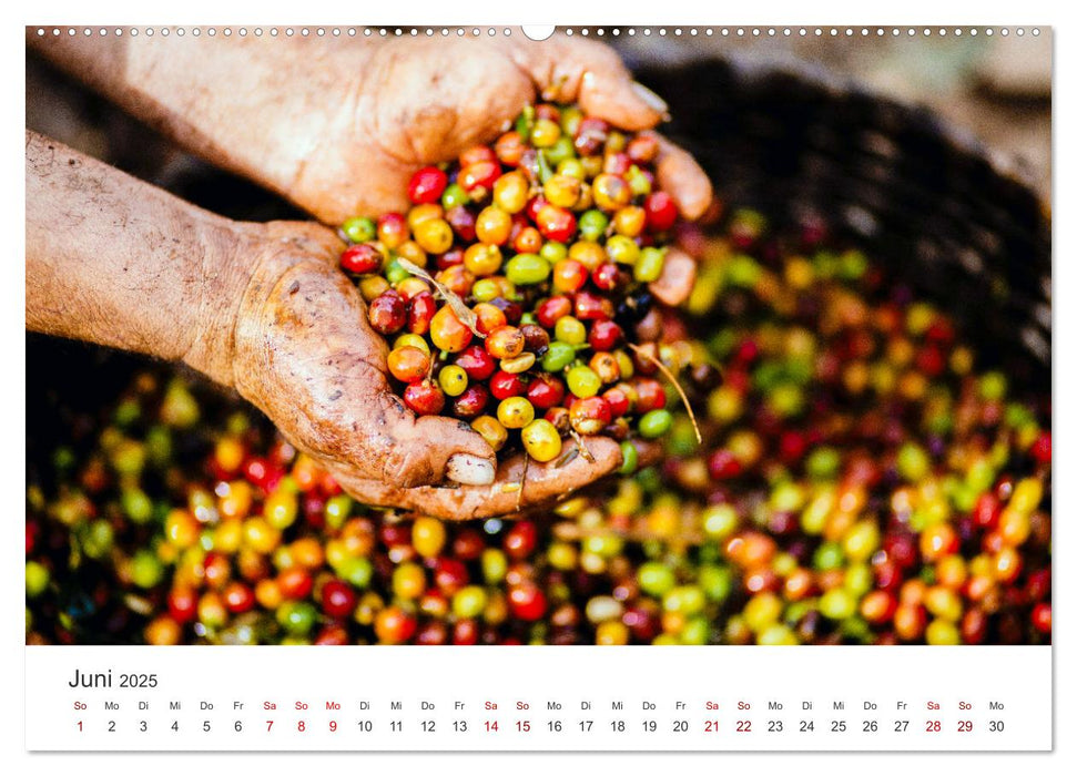 Genussmomente Kaffee (CALVENDO Premium Wandkalender 2025)