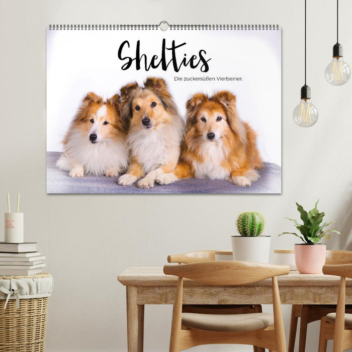 Shelties - Die zuckersüßen Vierbeiner. (CALVENDO Wandkalender 2025)