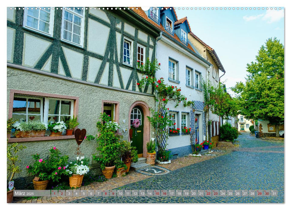 Ein Blick auf Hanau-Steinheim (CALVENDO Premium Wandkalender 2025)