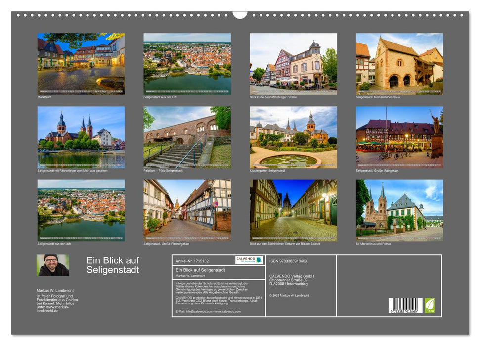 Ein Blick auf Seligenstadt (CALVENDO Wandkalender 2025)