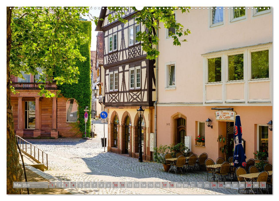 Ein Blick auf Aschaffenburg (CALVENDO Wandkalender 2025)