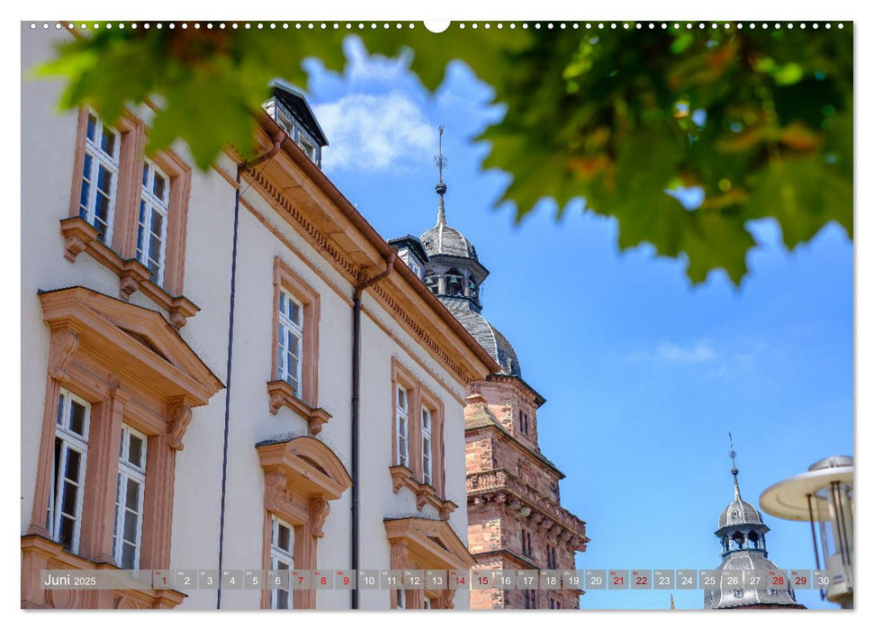 Ein Blick auf Aschaffenburg (CALVENDO Wandkalender 2025)