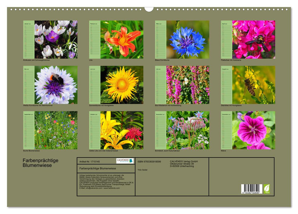 Farbenprächtige Blumenwiese (CALVENDO Wandkalender 2025)