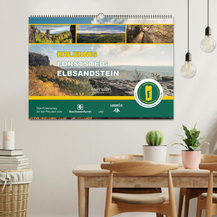 Erlebnis Forststeig Elbsandstein (CALVENDO Wandkalender 2025)