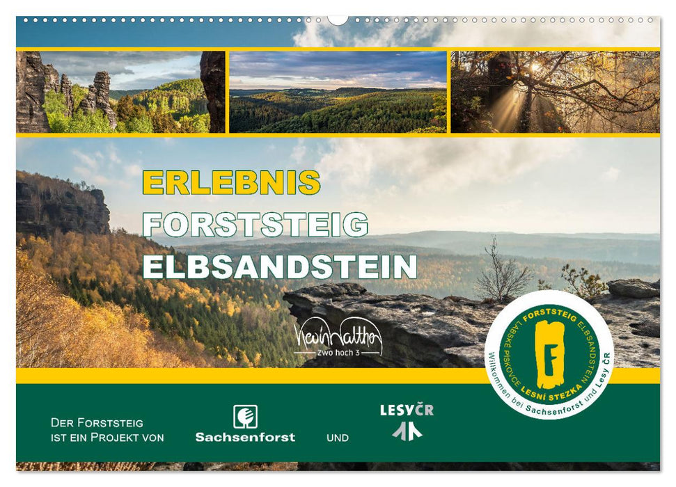 Erlebnis Forststeig Elbsandstein (CALVENDO Wandkalender 2025)