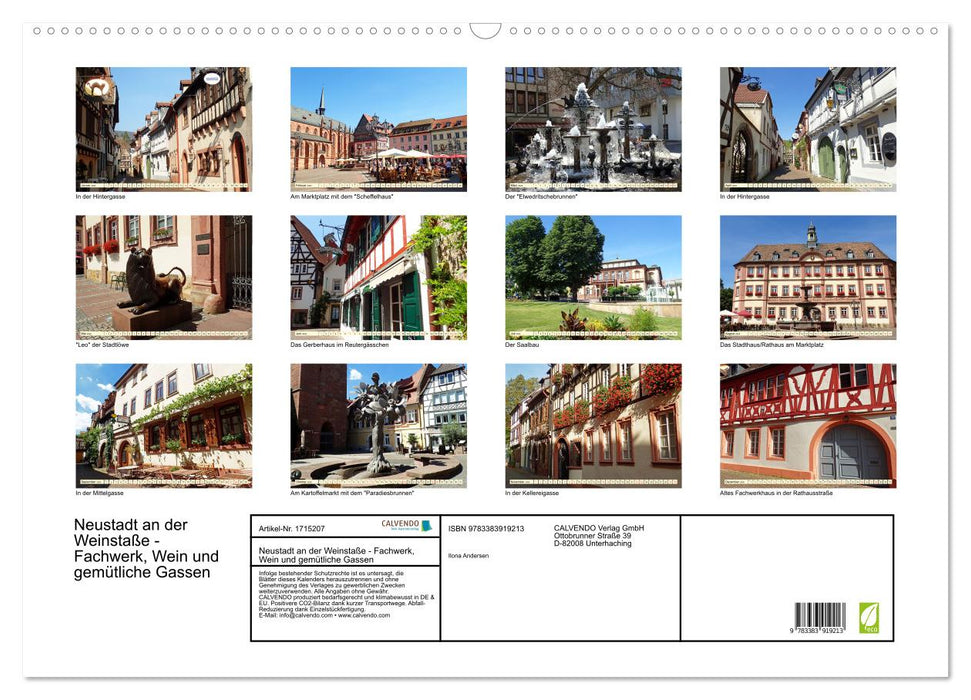 Neustadt an der Weinstaße - Fachwerk, Wein und gemütliche Gassen (CALVENDO Wandkalender 2025)