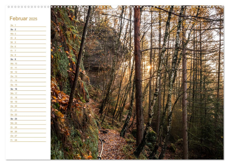 Ein goldenes Jahr - Elbsandstein (CALVENDO Wandkalender 2025)