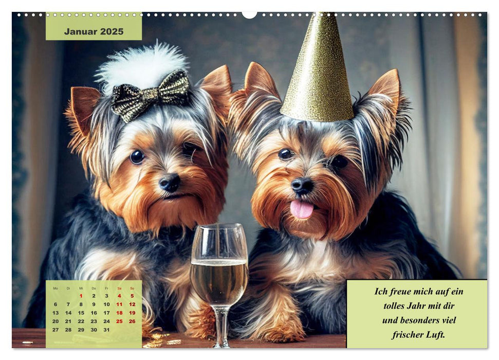 Der humoristische Yorkshire Terrier Kalender (CALVENDO Premium Wandkalender 2025)