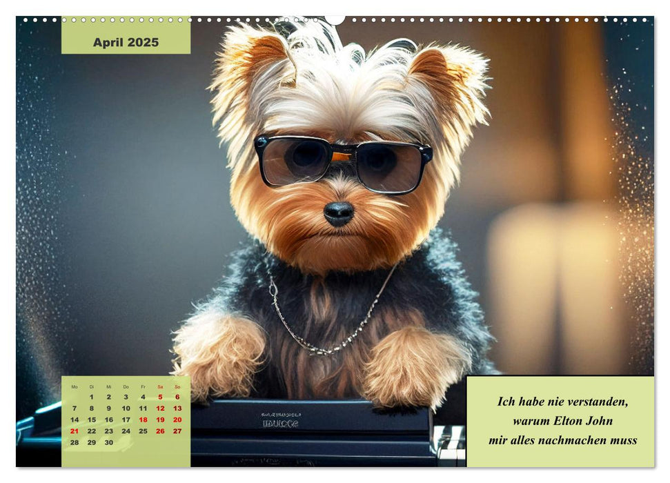 Der humoristische Yorkshire Terrier Kalender (CALVENDO Premium Wandkalender 2025)