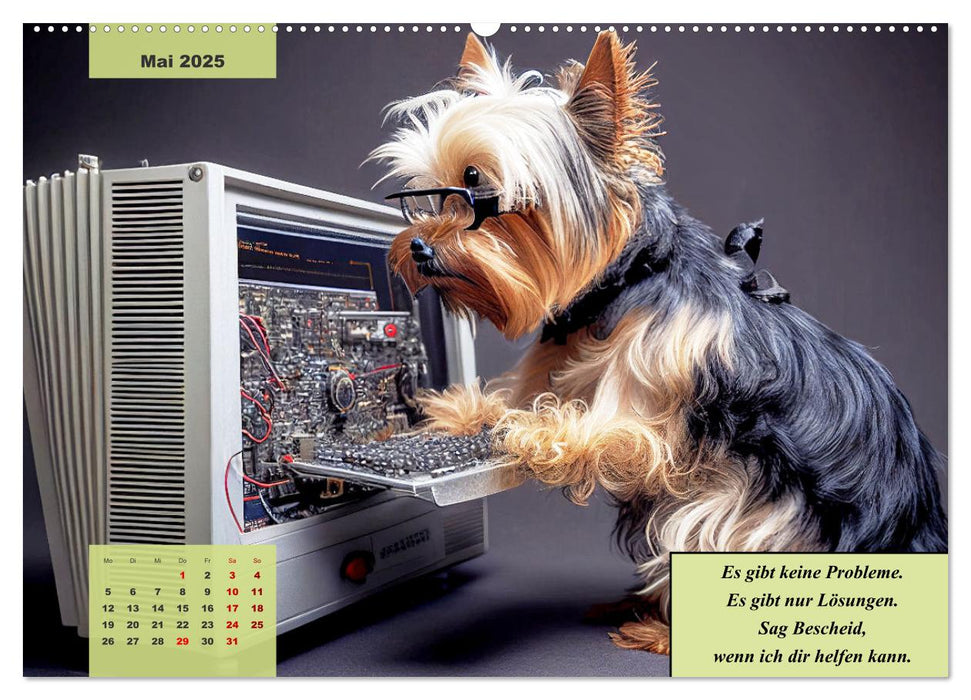 Der humoristische Yorkshire Terrier Kalender (CALVENDO Premium Wandkalender 2025)