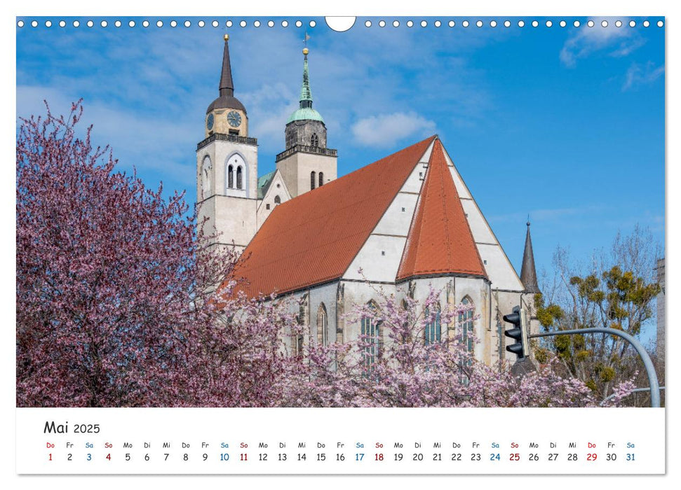 Typisch Magdeburg (CALVENDO Wandkalender 2025)