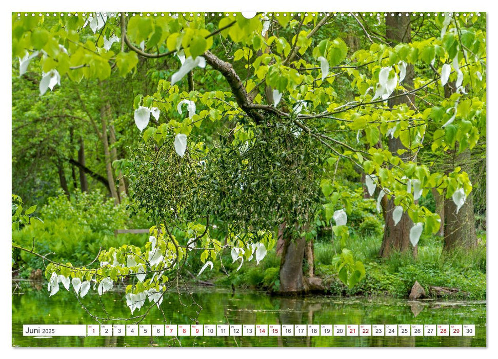 Rhein-Erft-Kreis - Burgen, Schlösser und mehr (CALVENDO Wandkalender 2025)