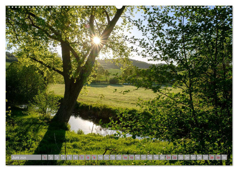 Ein Blick auf die Hansestadt Warburg (CALVENDO Wandkalender 2025)