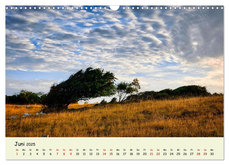 Unterwegs in Dänemark von der Nordsee bis zur Ostsee (CALVENDO Wandkalender 2025)