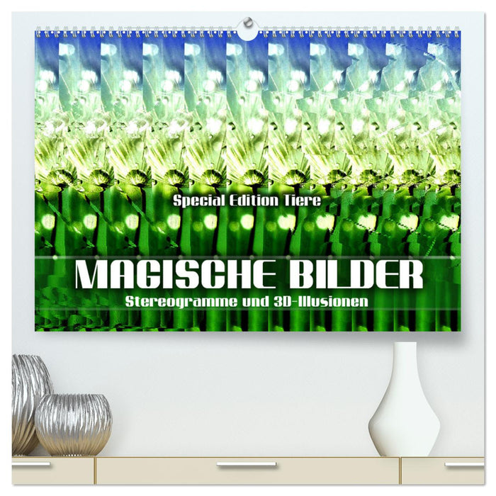 Magische Bilder - Stereogramme und 3D-Illusionen (CALVENDO Premium Wandkalender 2025)