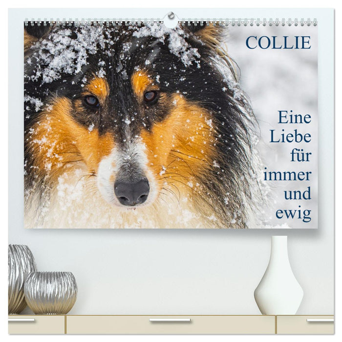 Collies - Eine Liebe für immer und ewig (CALVENDO Premium Wandkalender 2025)