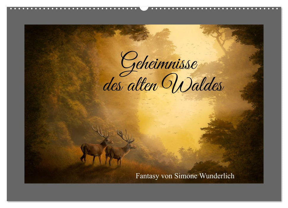 Geheimnisse des alten Waldes (CALVENDO Wandkalender 2025)