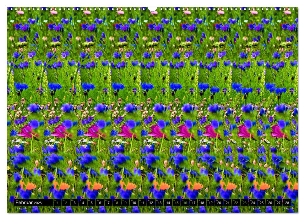 Magische Bilder - Stereogramme und 3D-Illusionen (CALVENDO Wandkalender 2025)