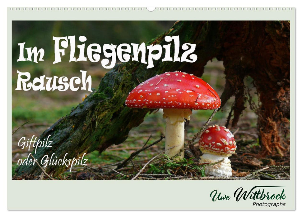 Im Fliegenpilz Rausch (CALVENDO Wandkalender 2025)