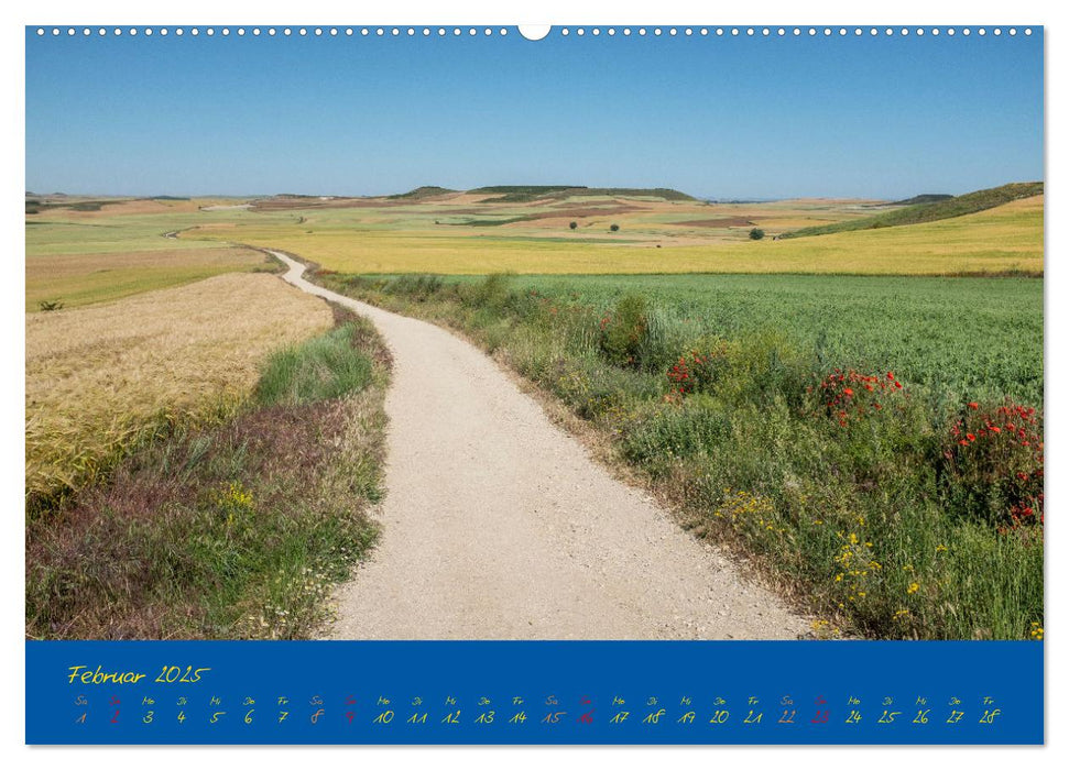 Camino 2025 (CALVENDO Wandkalender 2025)