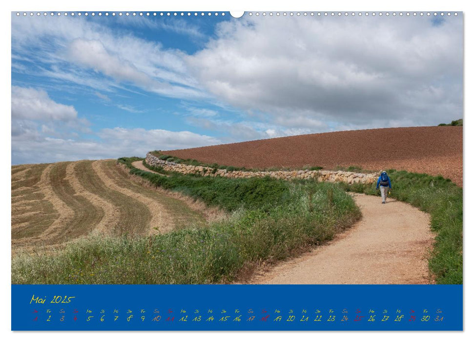 Camino 2025 (CALVENDO Wandkalender 2025)