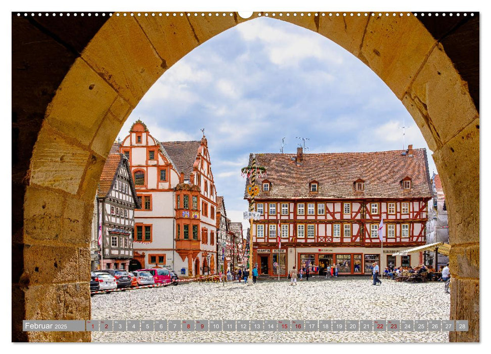 Ein Blick auf Alsfeld (CALVENDO Wandkalender 2025)