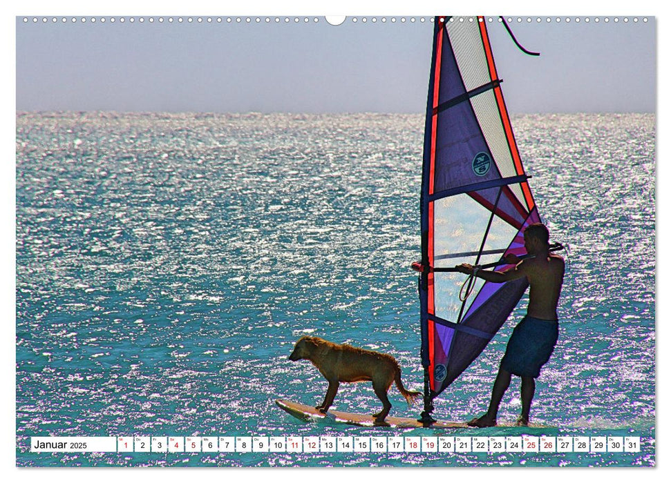 Funsport Windsurfen (CALVENDO Premium Wandkalender 2025)