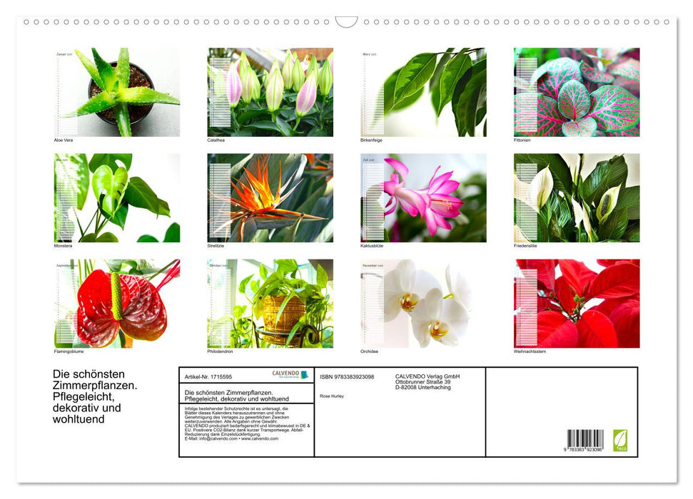 Die schönsten Zimmerpflanzen. Pflegeleicht, dekorativ und wohltuend (CALVENDO Wandkalender 2025)